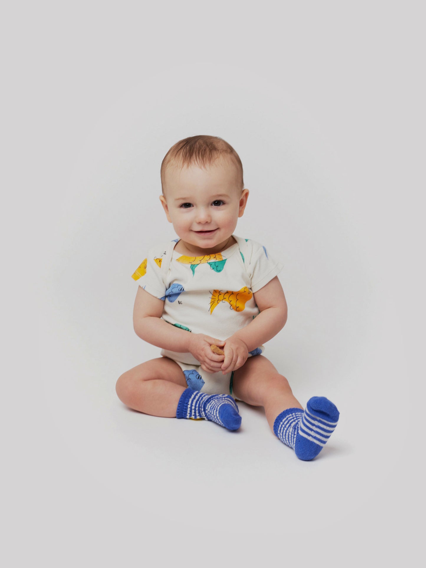 Multicolor Fish Box Set