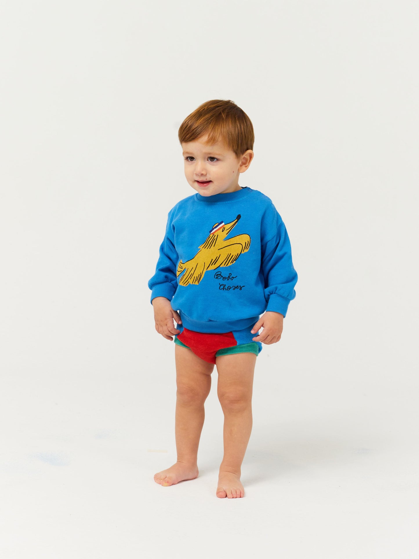 Sporty dog sweatshirt