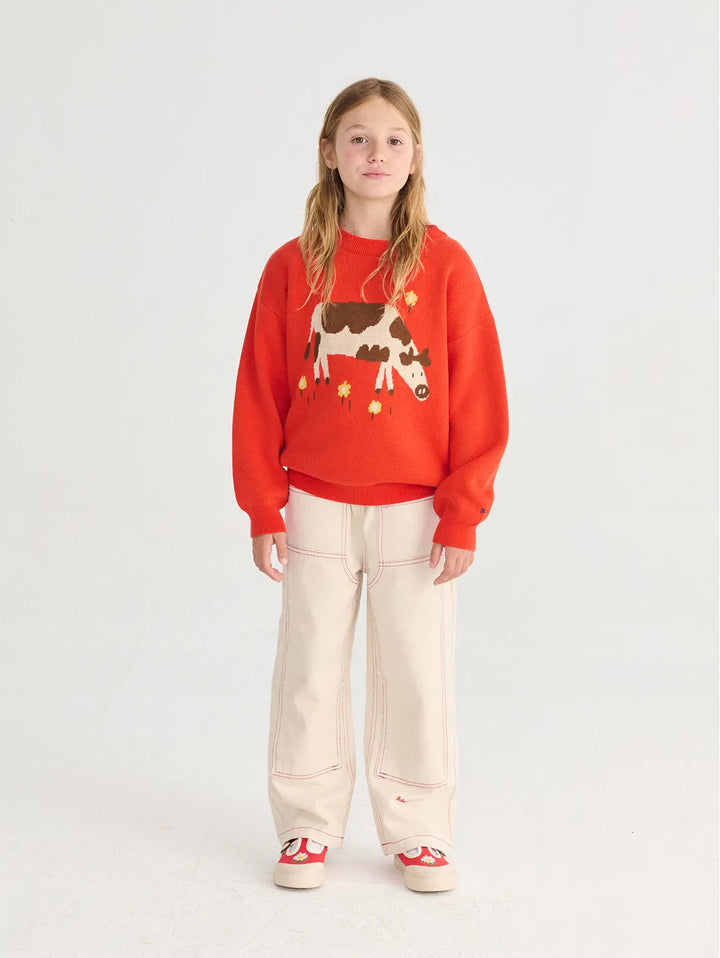 Farm Adventure jumper