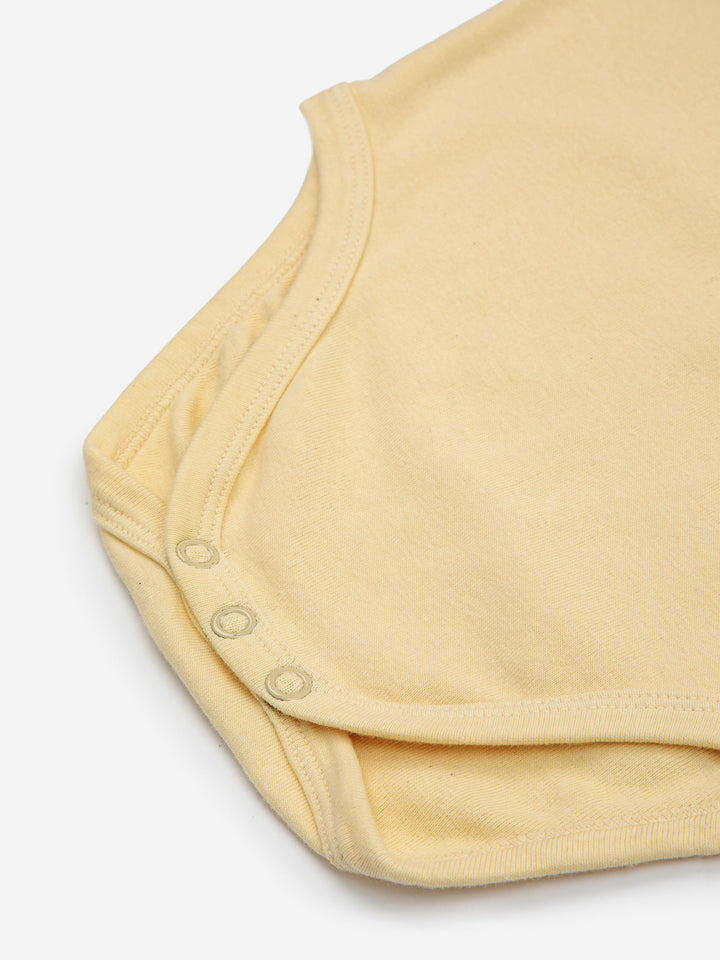 Acoustic Guitar body