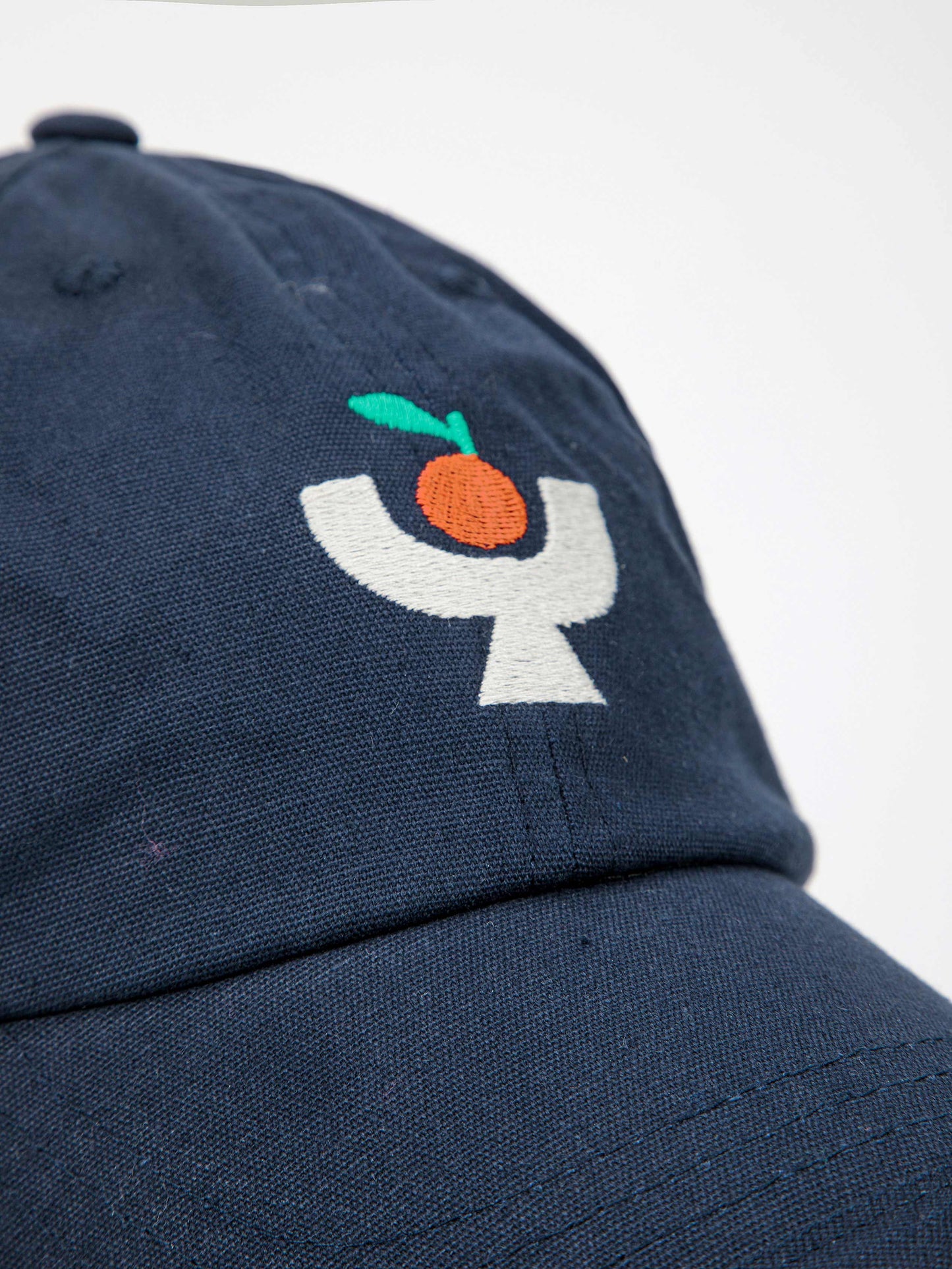 Tomato plate embroidery cap