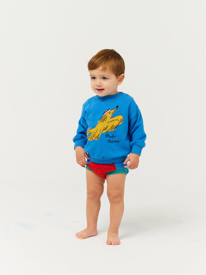 Sporty dog sweatshirt