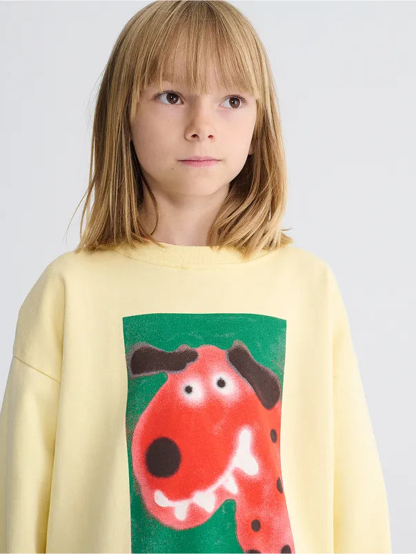 Dog sweatshirt