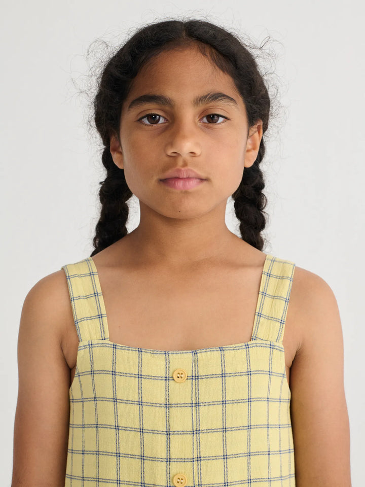 Spicy Window Pane woven dress