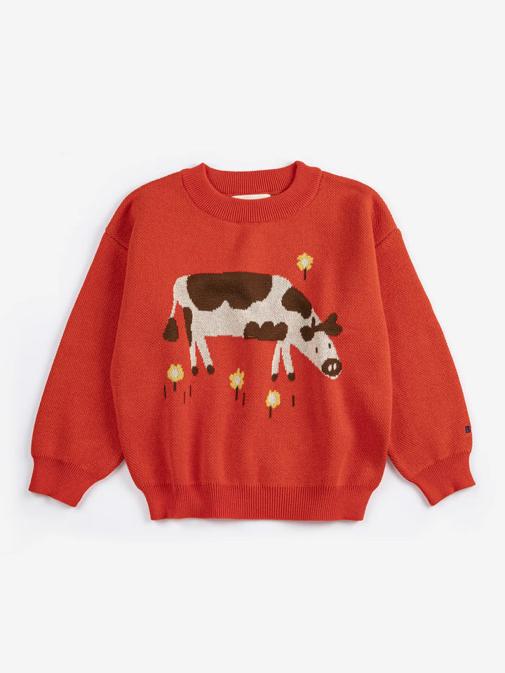 Farm Adventure jumper