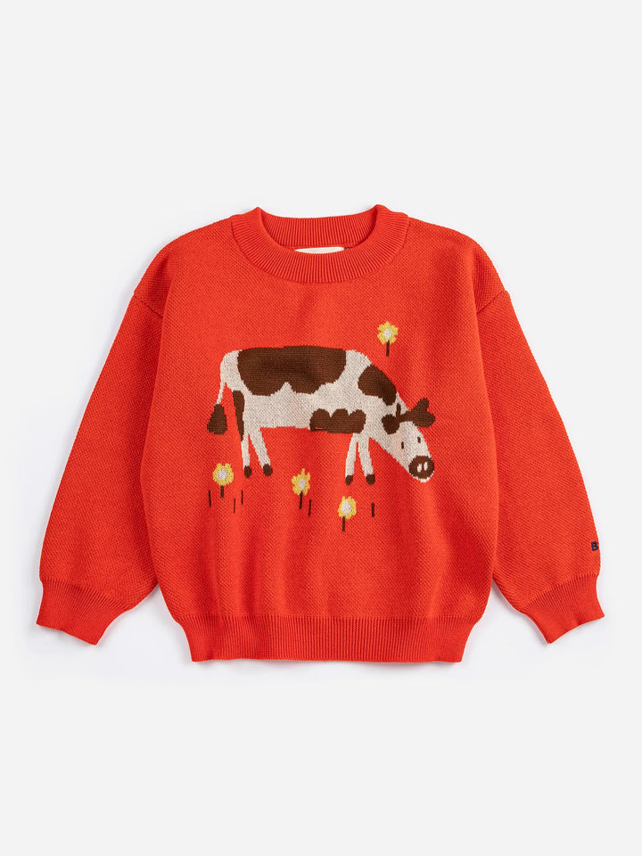 Farm Adventure jumper