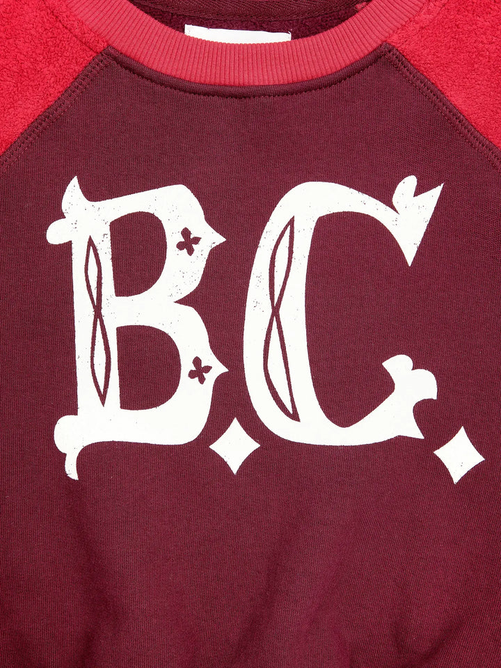 Dessuadora de màniga raglan BC Vintage