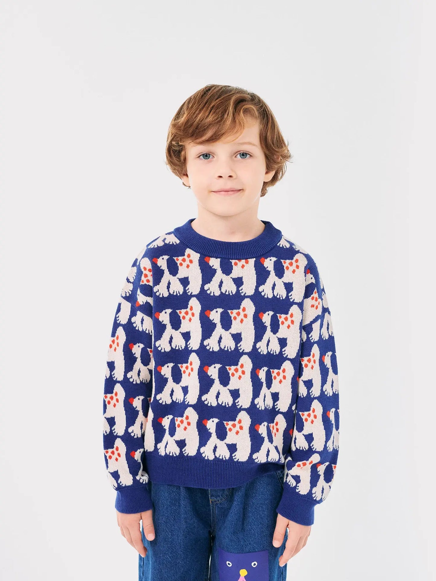 Pull en jacquard Fairy Dog all-over