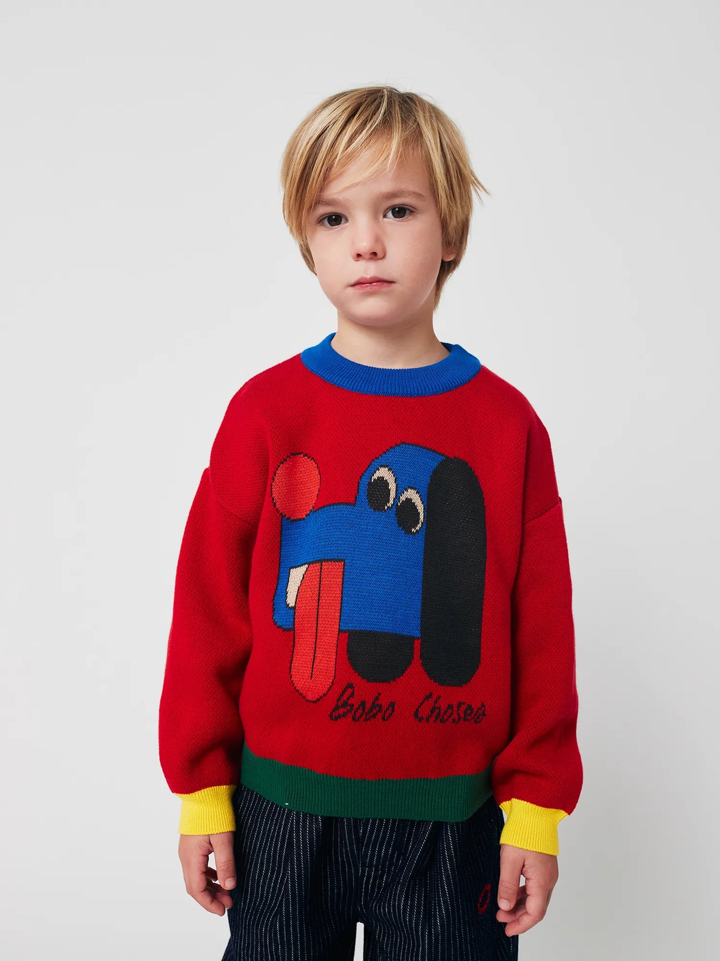 Pull jacquard Doggy Mate