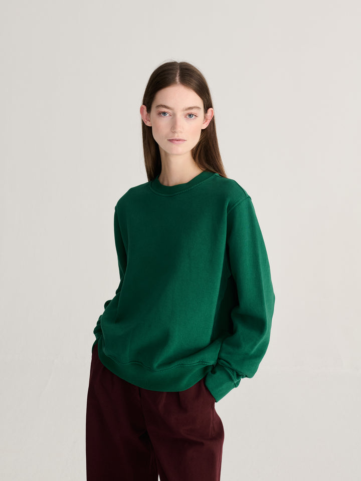 Mystery BC fitted sweatshirt