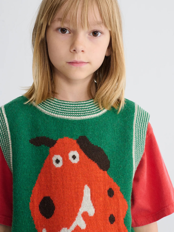 Dog knitted vest