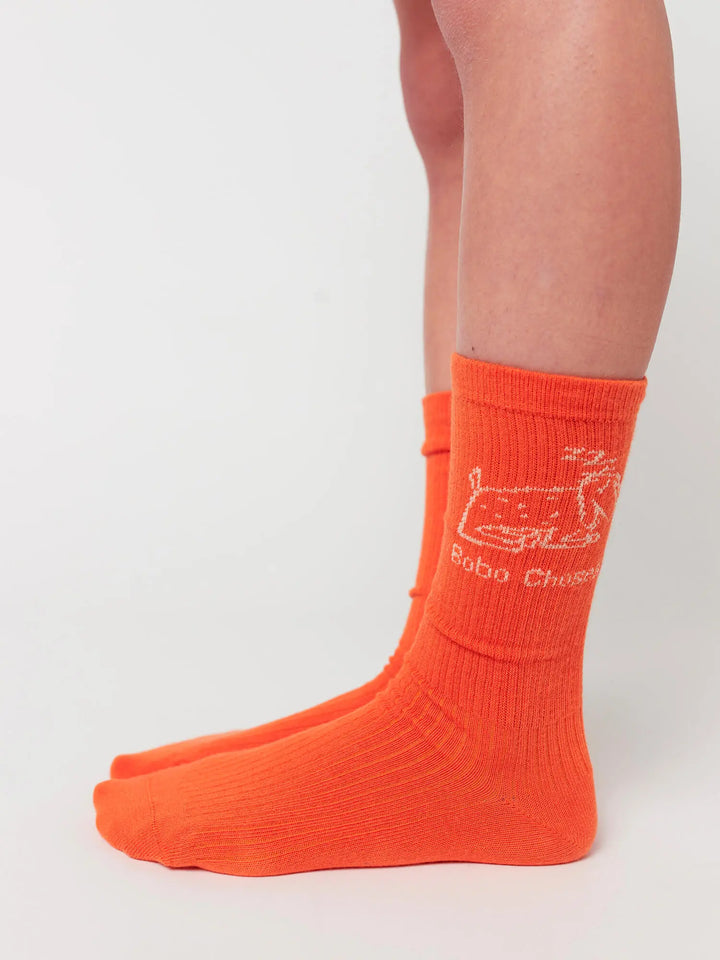Happy Worm & Lazy Dog long socks pack