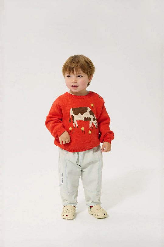 Farm Adventure jumper