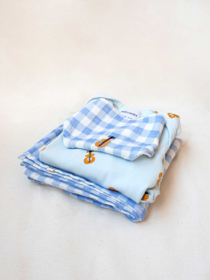 Acoustic Guitar overall and Vichy pack