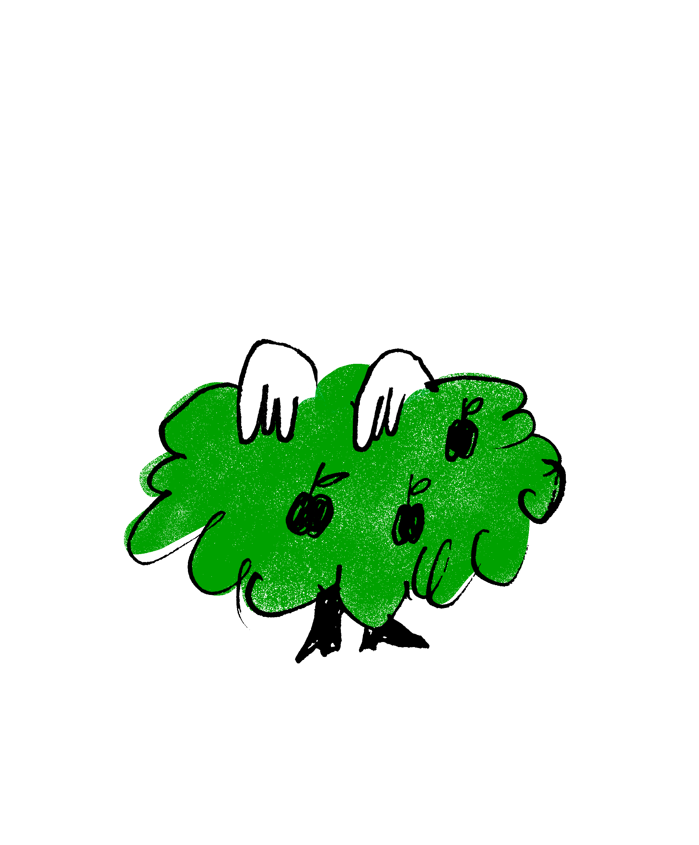 Newsletter Icon