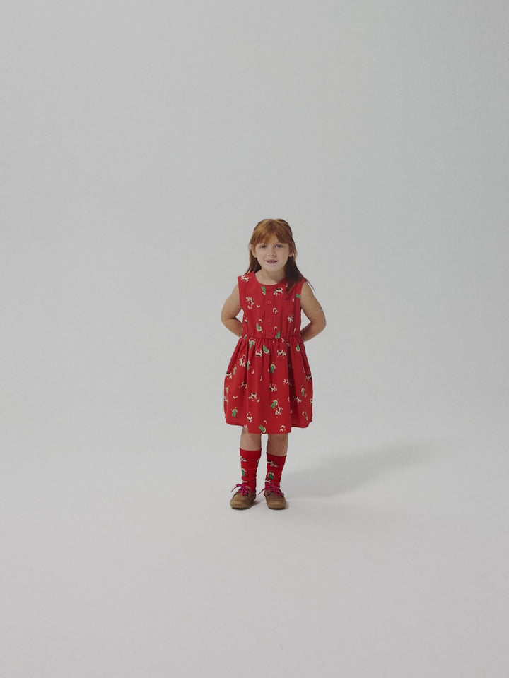 Farm Adventure all over woven dress