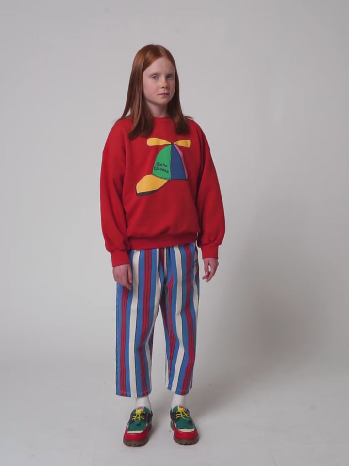 Flying cap sweatshirt