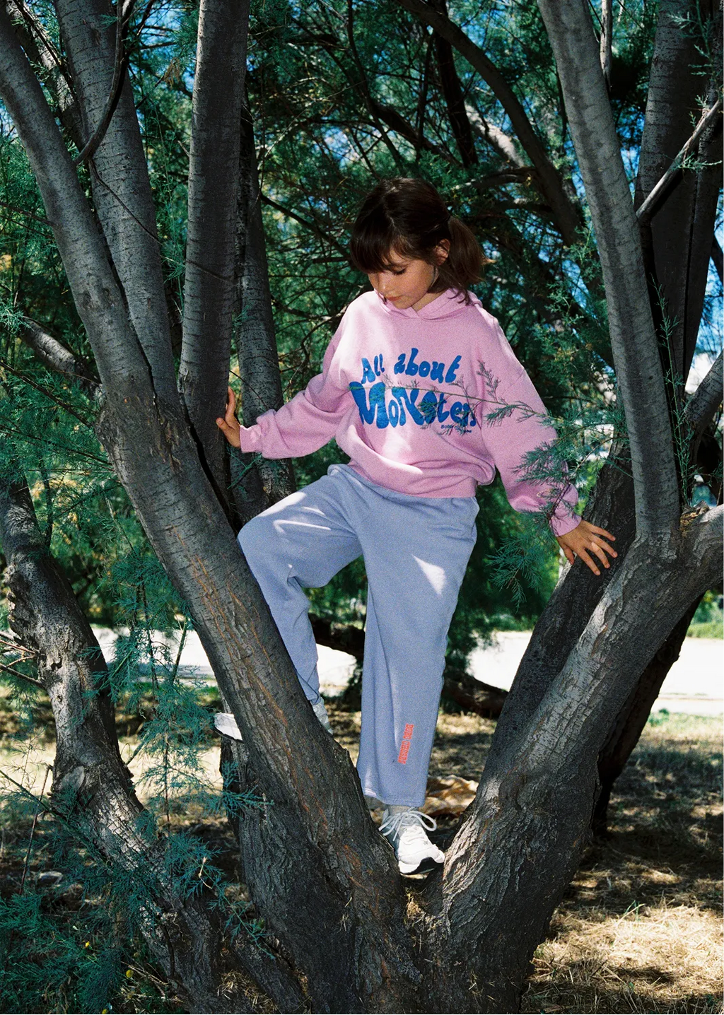 Sweatshirts